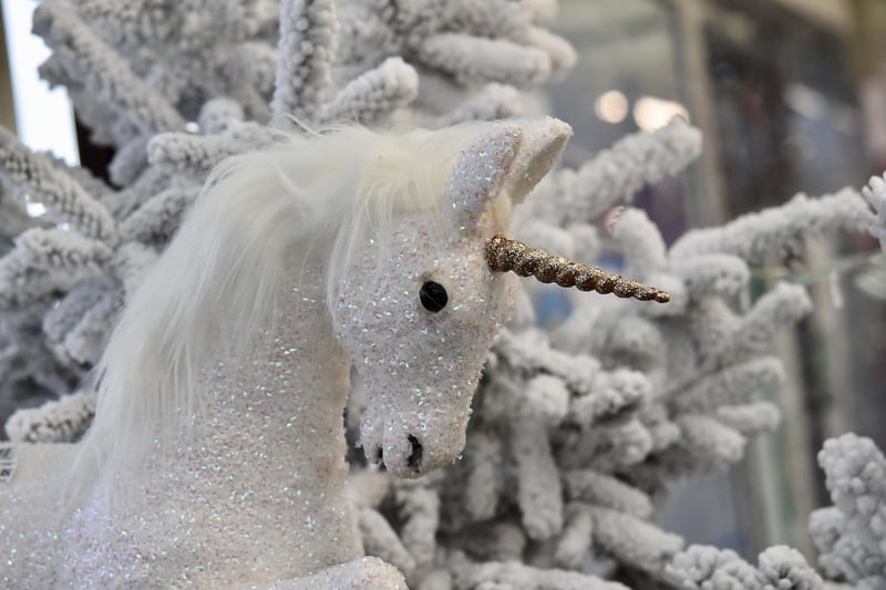 Unicorn Rides